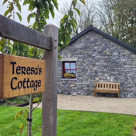 Teresa'S Cottage Kilcolgan Exteriér fotografie